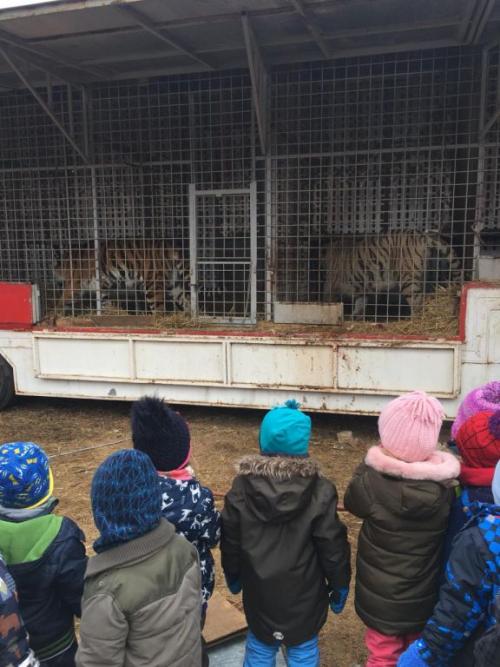 U zvířátek z cirkusu