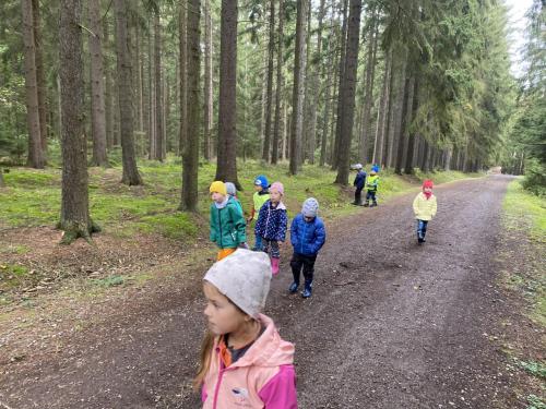 Procházka do lesa - zelená třída