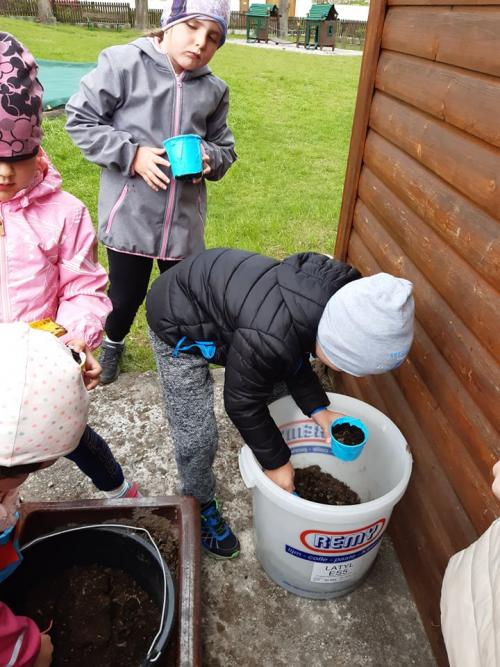 Sázení slunečnic ke dni matek