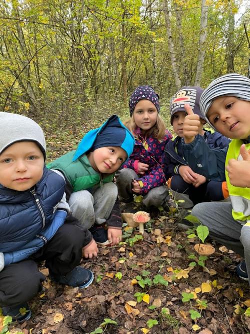 Výlet do lesa