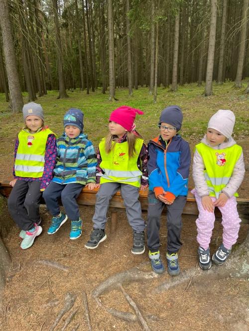 Rytířská výprava pro živou vodu